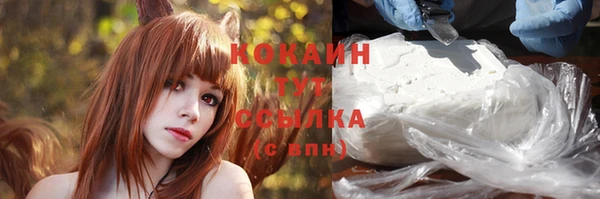 экстази Бородино