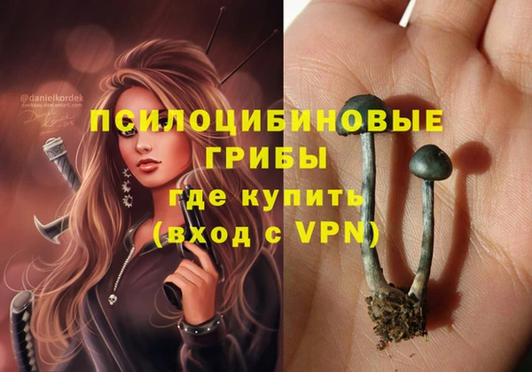 экстази Бородино