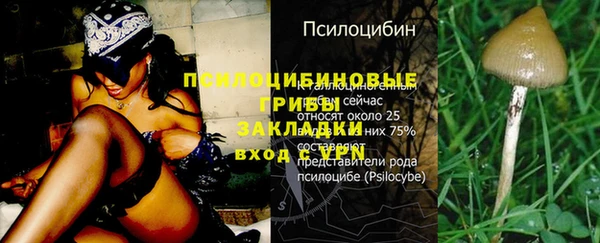 экстази Бородино